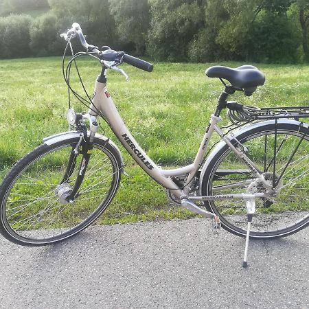Black Forest Bollenhut Deluxe Lenzkirch Exterior photo