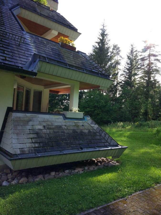 Black Forest Bollenhut Deluxe Lenzkirch Exterior photo
