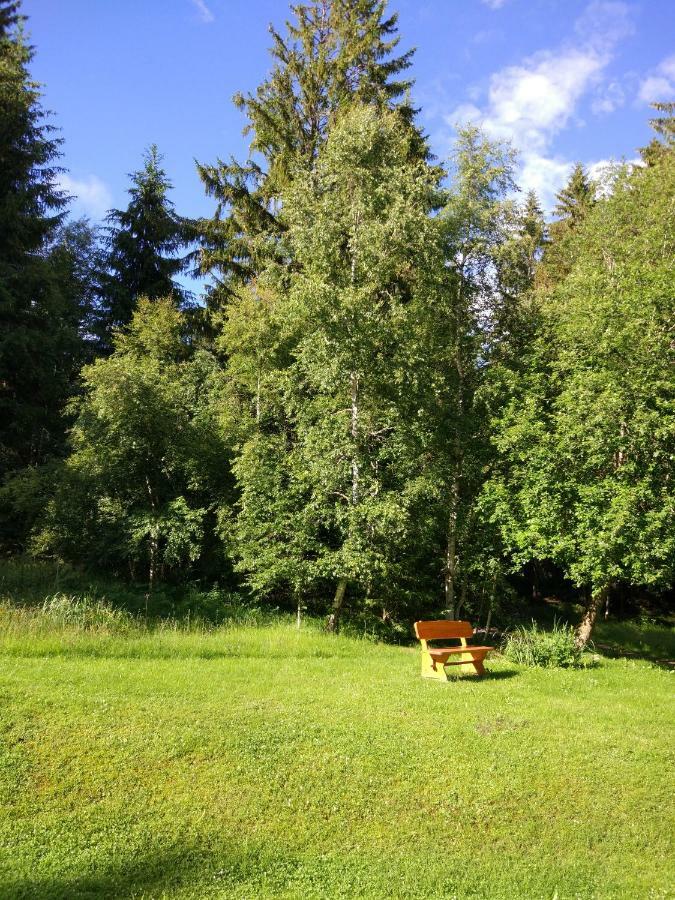 Black Forest Bollenhut Deluxe Lenzkirch Exterior photo