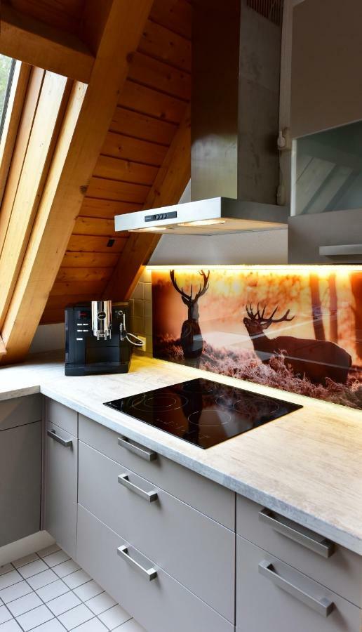 Black Forest Bollenhut Deluxe Lenzkirch Exterior photo